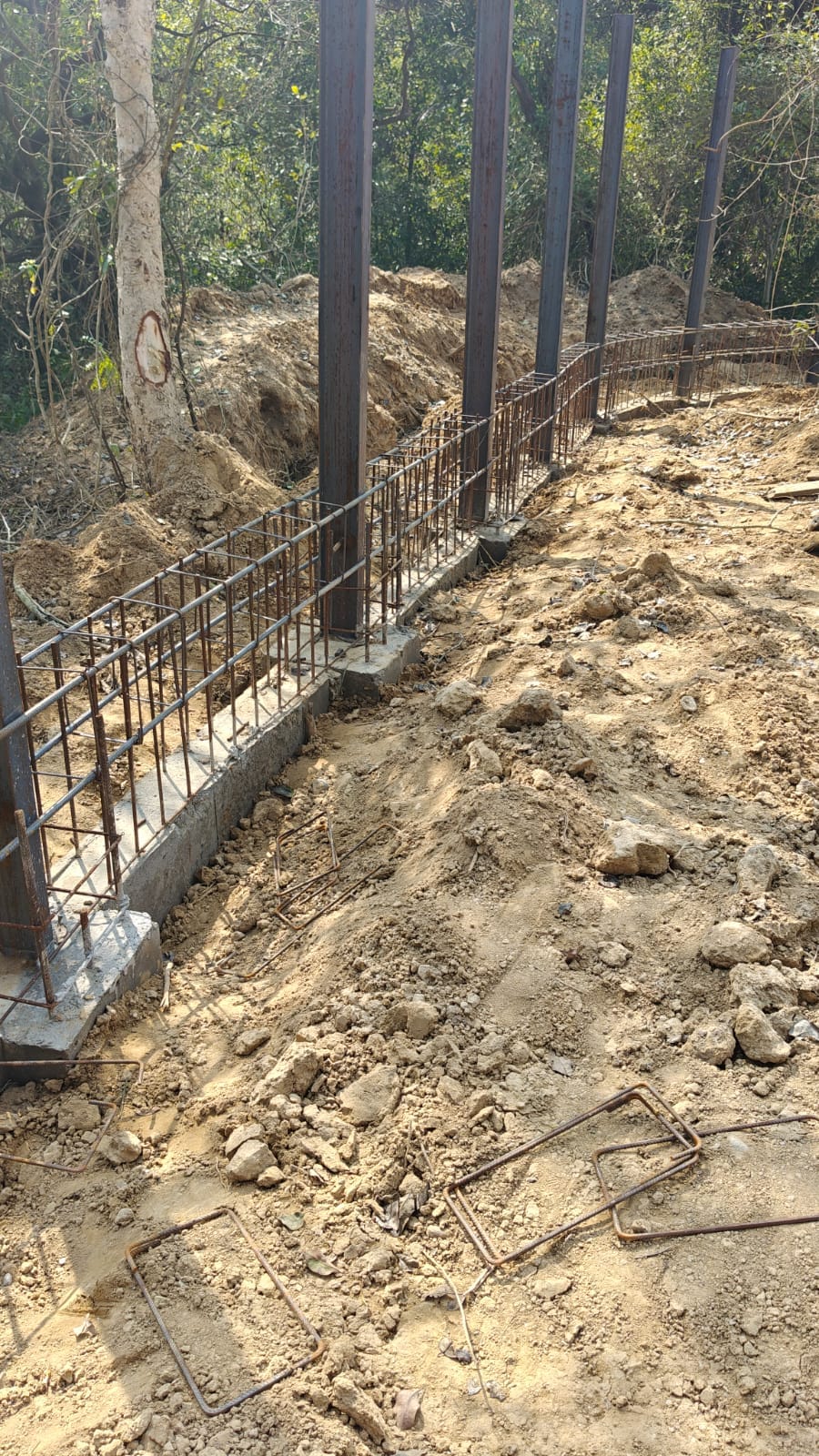 Elephants will be freed from chains in the rehabilitation center