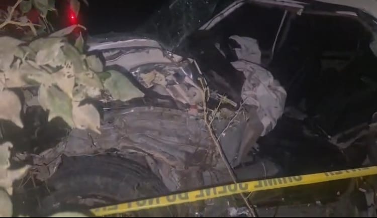 Bihar News : सड़क छोड़ पेड़ से जा टकराई गाड़ी, तीन की मौत; चालक जिंदा निकाला गया, मगर भाग निकला