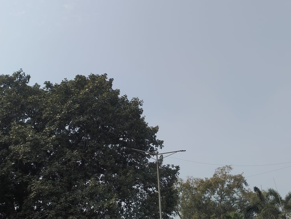 The maximum temperature rose by two degrees Celsius and the minimum temperature by one degree Celsius.