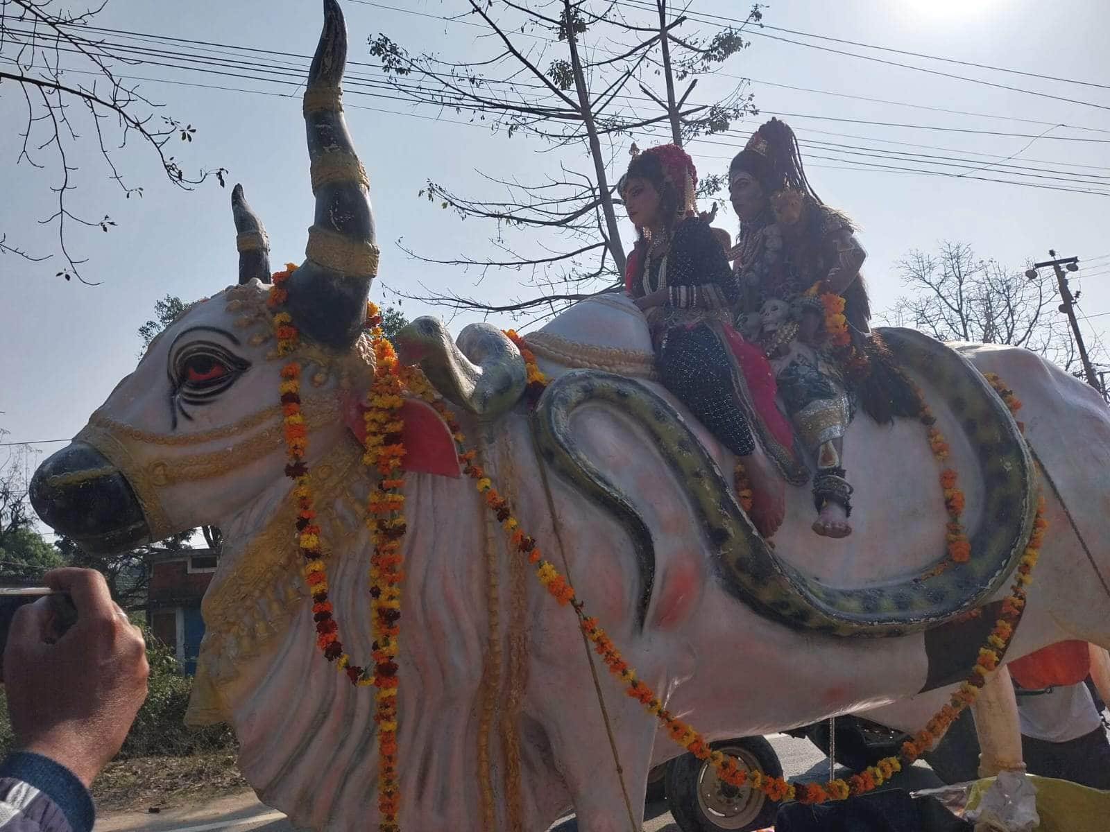 05- वीरभद्र महादेव मंदिर से निकाली गई शोभायात्रा में बैल पर सवार शिव पार्वती की वेषभूषा में सज