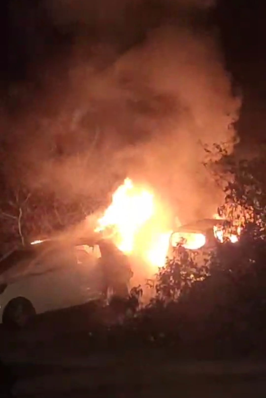 Two cars with Punjab registration numbers burnt to ashes in Bhadroya