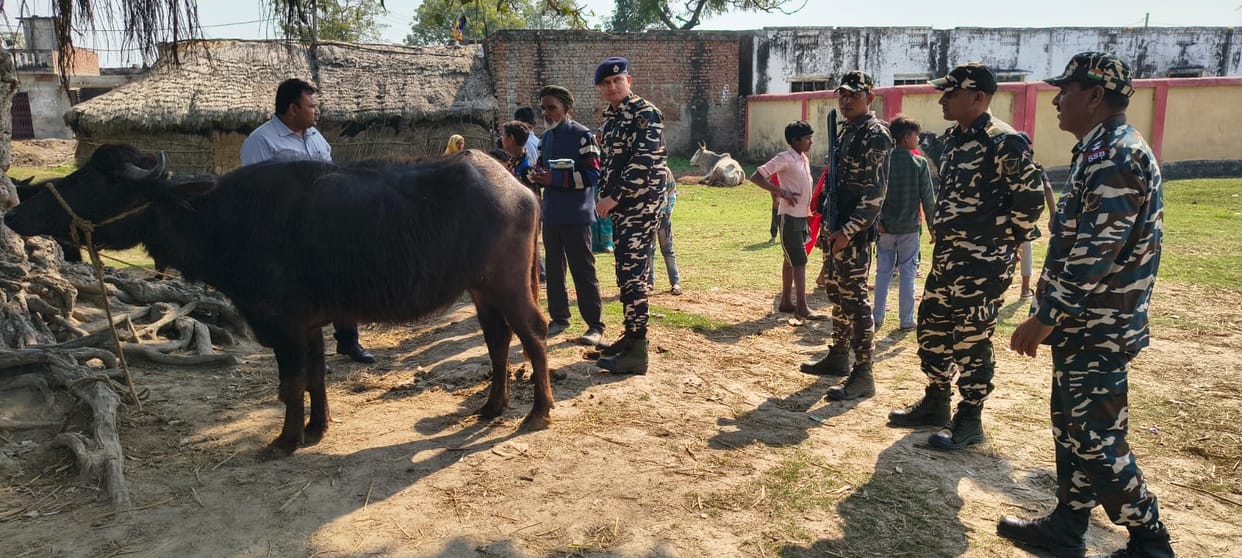 153 animals were treated in the medical camp.
