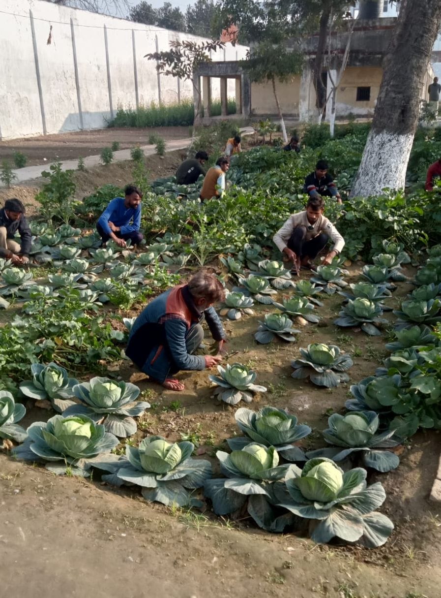 Prisoners are becoming self-reliant by producing seasonal vegetables.