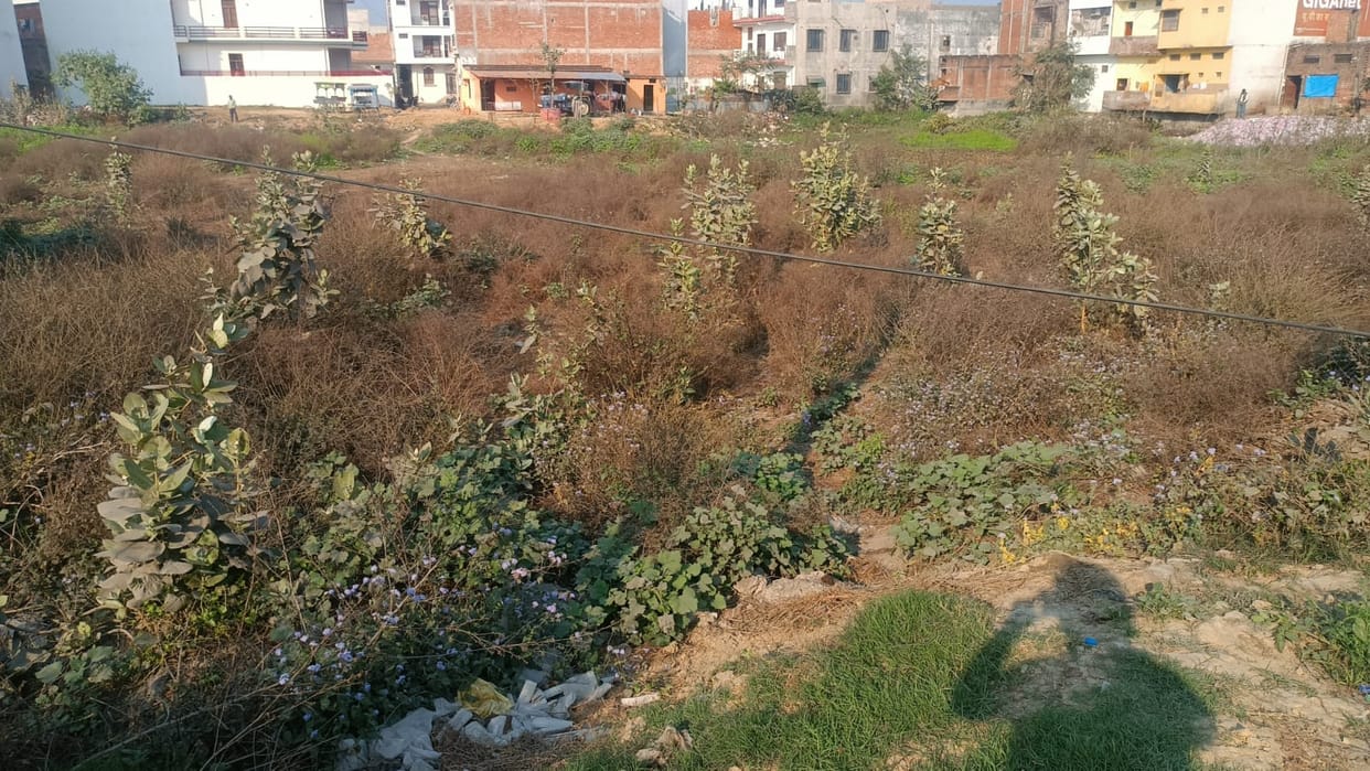 Land issue in construction of mini bus stop, plan stalled due to lack of road