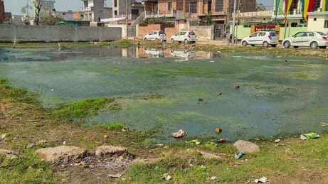 Named Sundar Nagar... became ugly due to dirt