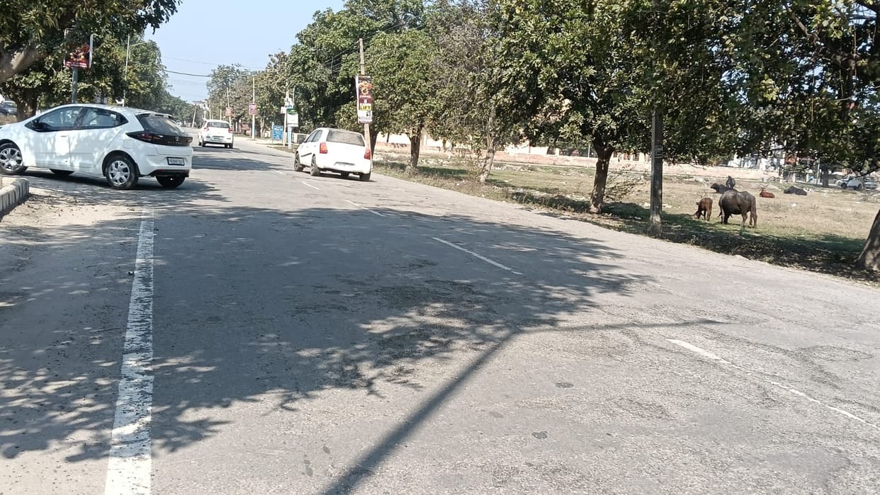 There are potholes everywhere on the roads of Amargarh Gamdi.
