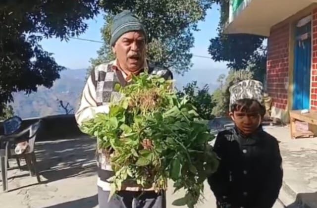 बाराकोट के डोबाभागू में बंदर लंगूरों द्वारा बर्बाद की गई आलू की फसल दिखाता ग्रामीण। स्रोत: स्वय