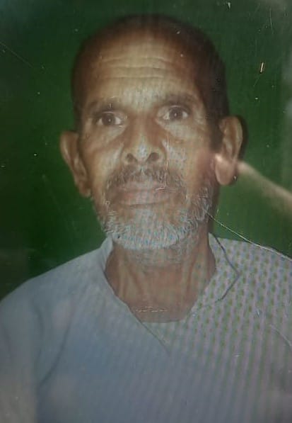 Elderly man dies after being hit by a bike