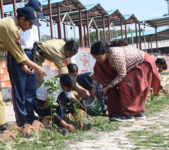 Planting trees gave the message of environmental protection