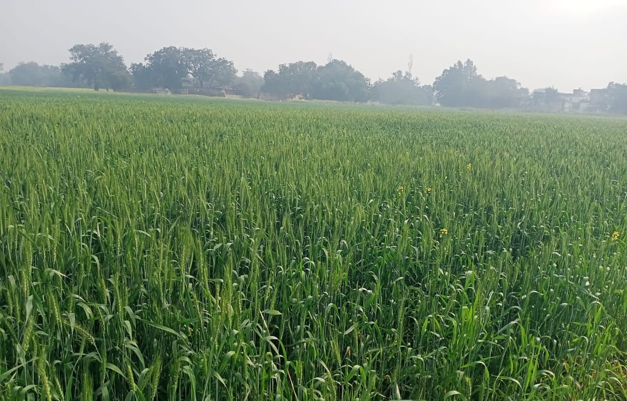 The temperature is 28 degrees in the afternoon, and it is starting to feel cold at night.