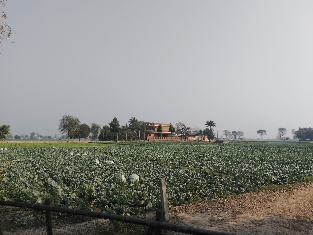 It is getting hot during the day and cold in the morning and evening, clouds may appear today