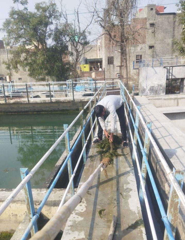 Moss deposits in waterworks tanks and water treatment plants removed