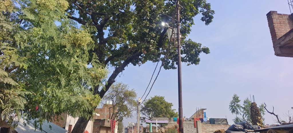 Street lights burning during the day, questions raised on wastage of electricity