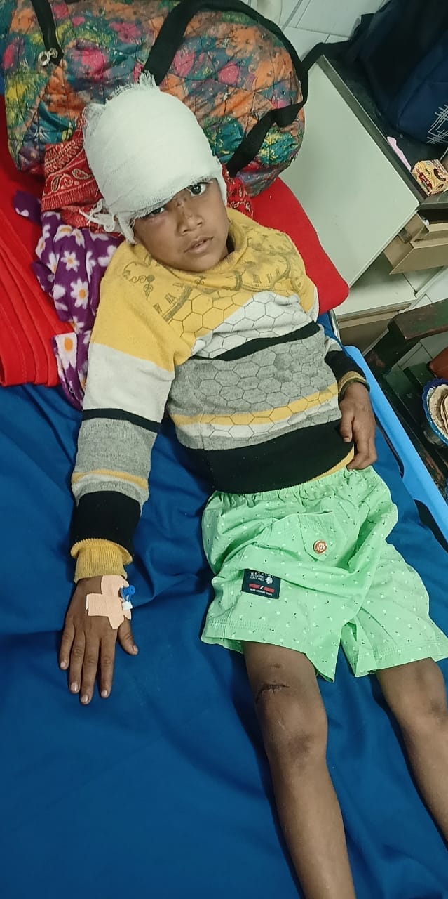 Child injured in dog attack is in stable conditionChild injured in dog attack is in stable condition