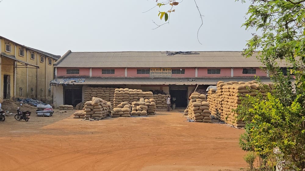Embezzlement of Rs 11.40 lakh in the name of rejected paddy
