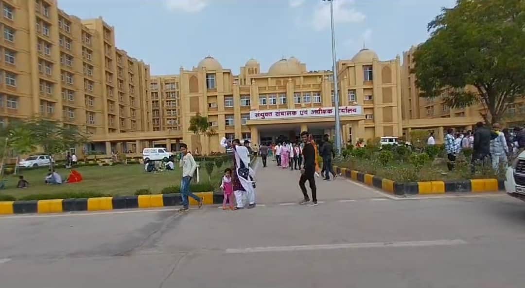 Gwalior: Stray Dog Menace Continues, Constable on Duty Bitten; 365 Dog-Bite Patients Reach Hospitals