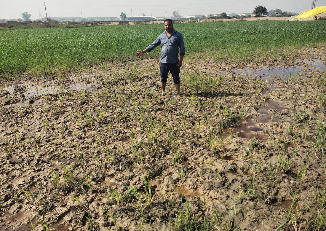 Crops being ruined by chemical-laden water from factories