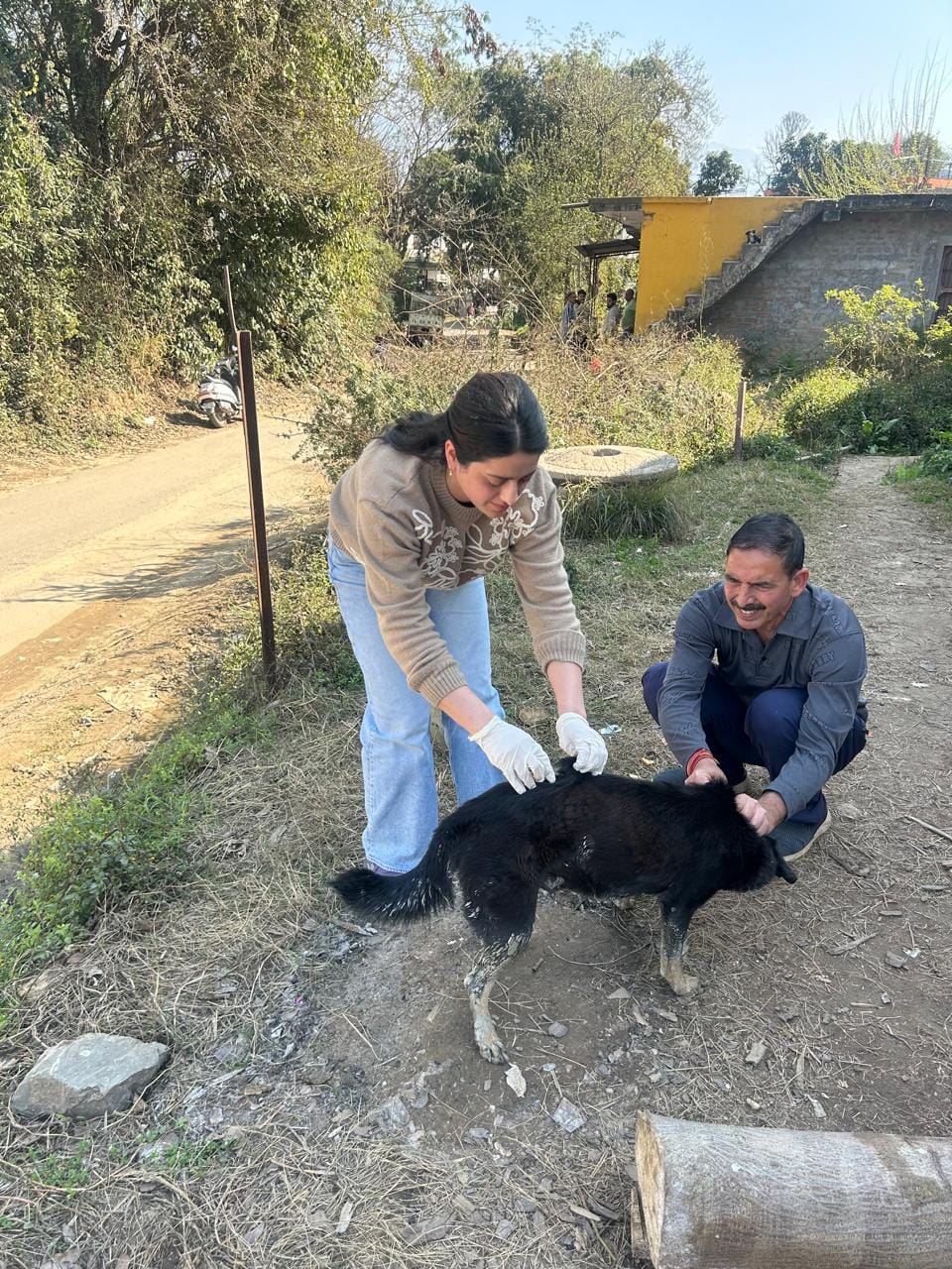Anti-rabies vaccine administered to stray dogs in Baihna Jattan