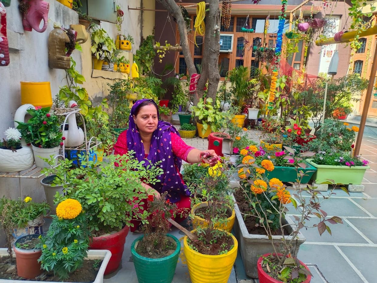 My Garden: Spring blooms in Pinky's garden, birds chirp