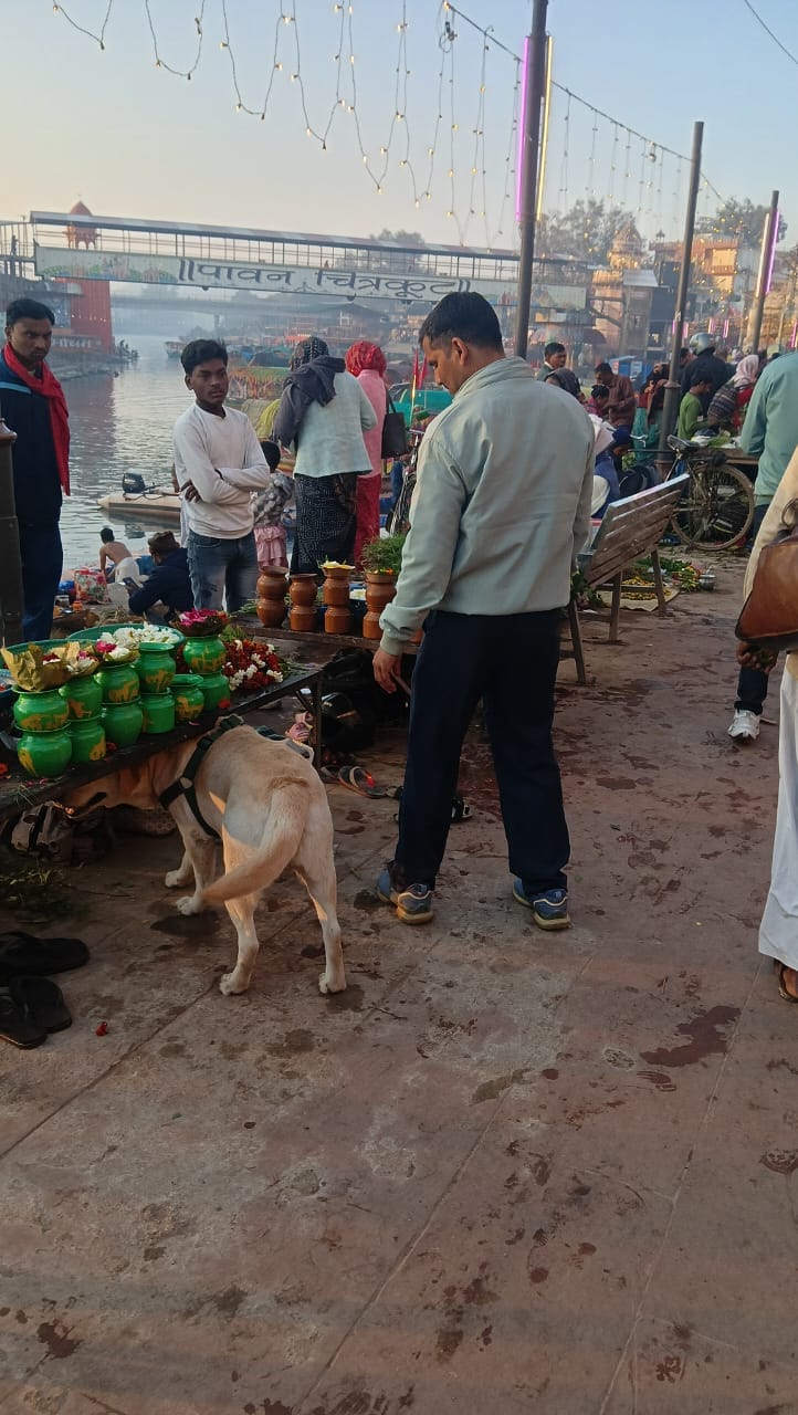 Investigation of Ramghat and Nirmohi Akhara on Mahashivratri