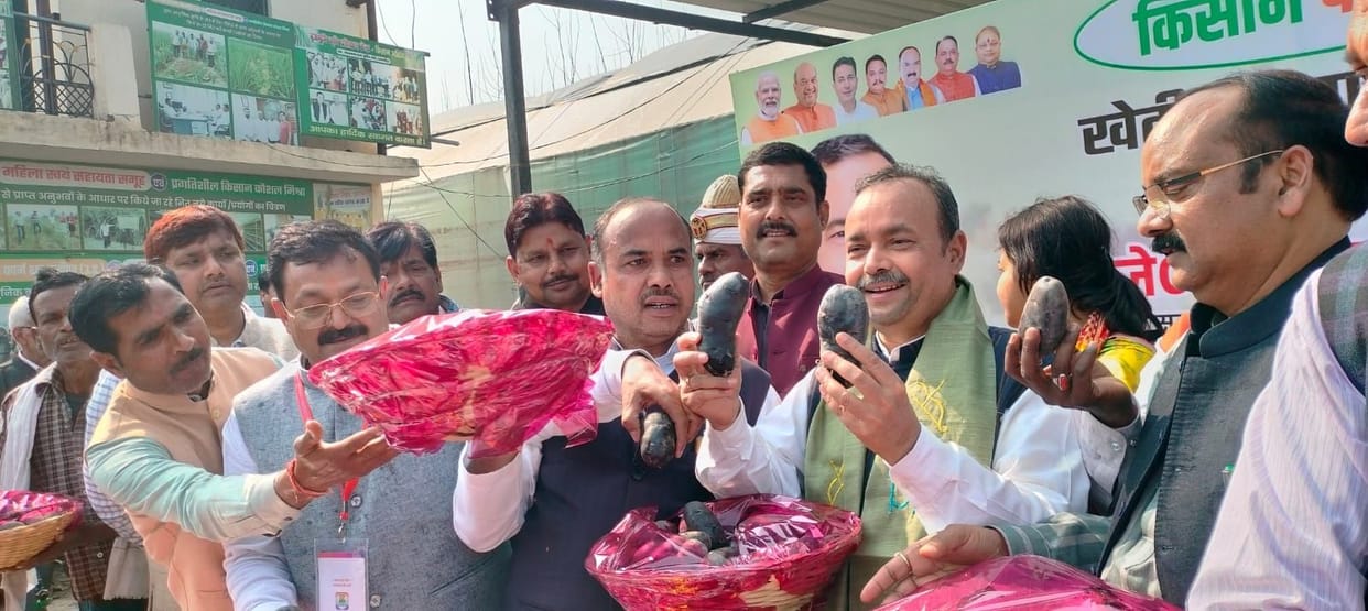 Minister of State for Cooperation praised intercropping with sugarcane.