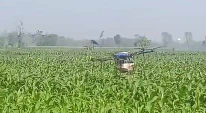 purnia young farmer kartik kishore drone farming modern agriculture organic mango cultivation