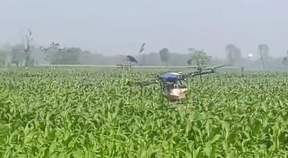 purnia young farmer kartik kishore drone farming modern agriculture organic mango cultivation