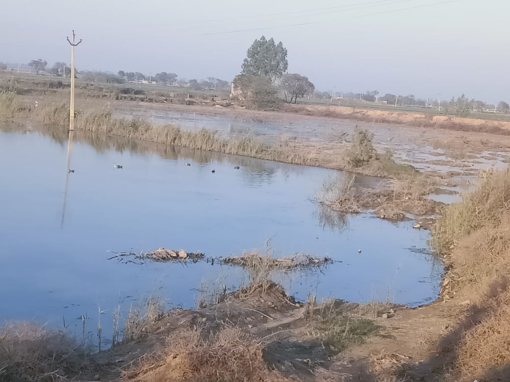 A double whammy of beans and drought hits agriculture, with the department issuing tenders for several villages.