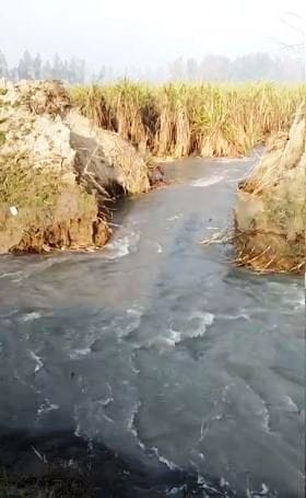 300 bigha crops submerged due to breakage of Rajbaha track