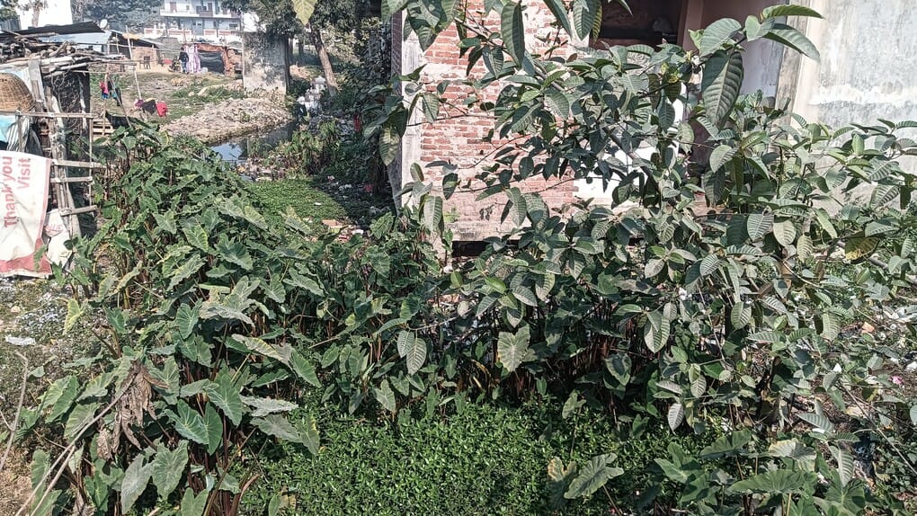 The construction of the drain is incomplete, dirty water is accumulating near the houses
