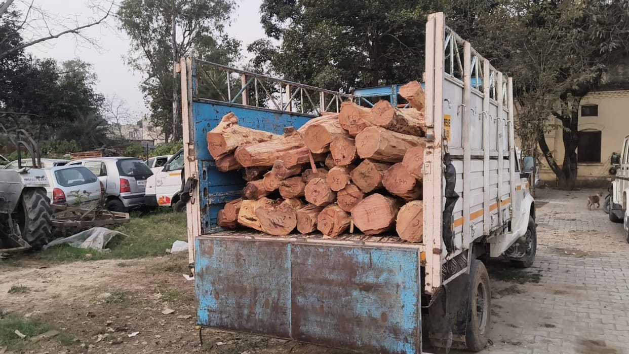Khair wood seized after 20 km chase of smugglers