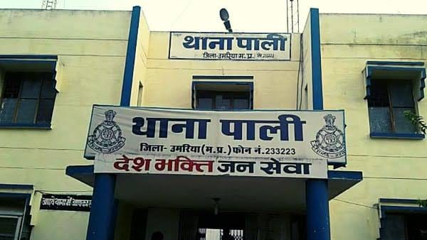 पाली थाना पुलिस ने आरोपी को पकड़ा