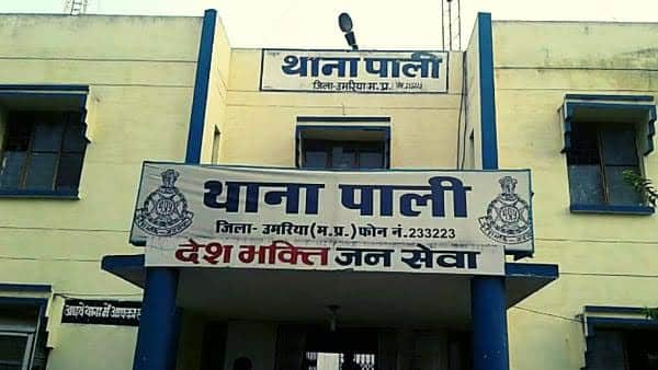 पाली थाना पुलिस ने आरोपी को पकड़ा
