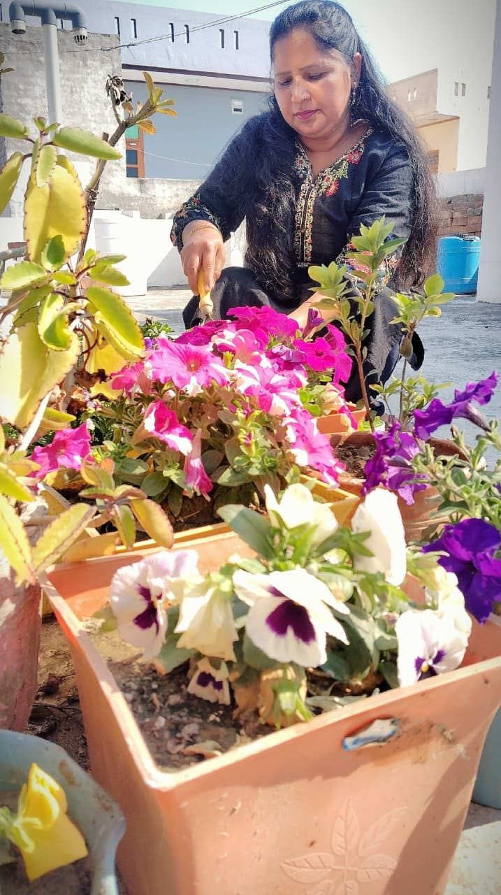 Leena has decorated her home with an Ayurvedic garden, which has over 100 medicinal plants.