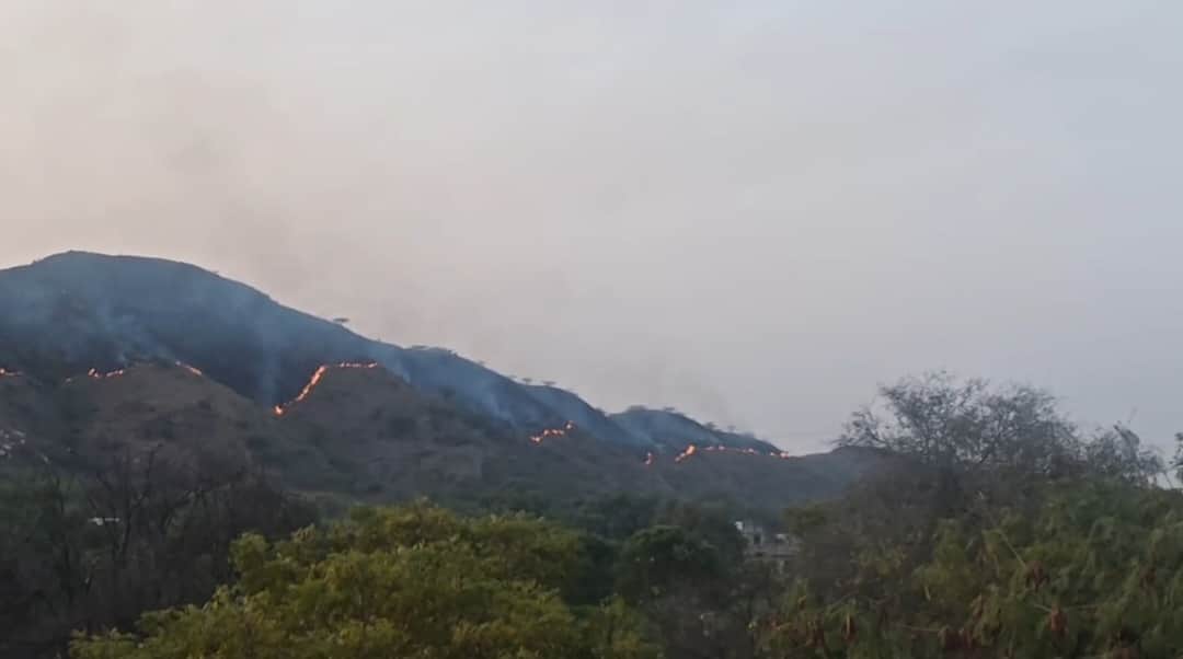 अरावली की पहाड़ियों में लगी आग
