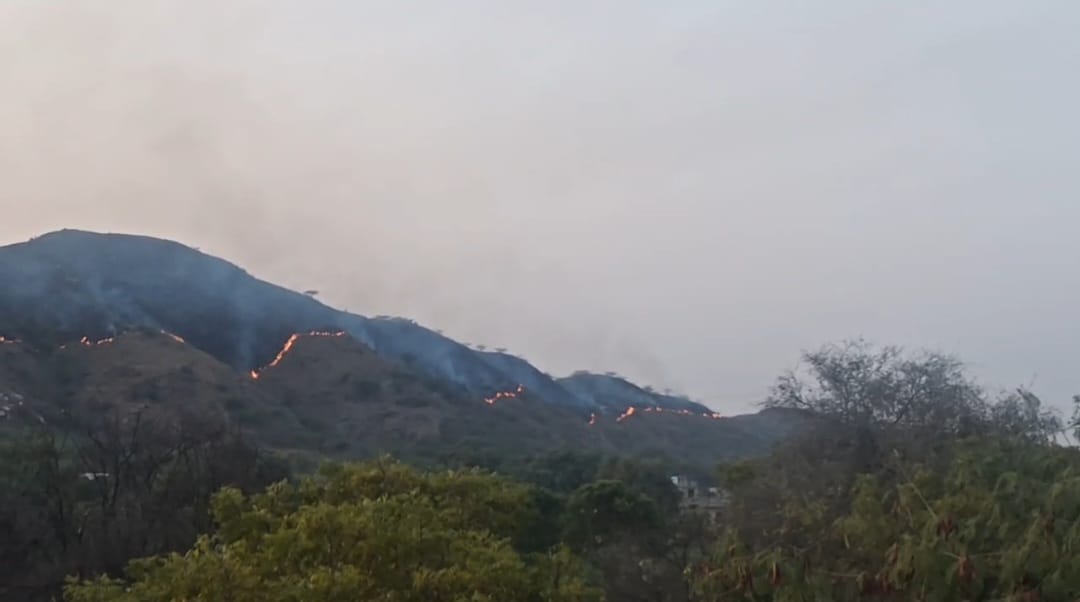 अरावली की पहाड़ियों में लगी आग