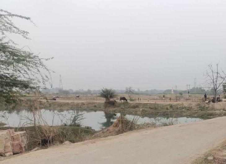 Five small bridges will be constructed in Bhagwantnagar and Purva areas at a cost of Rs 4.03 crore.