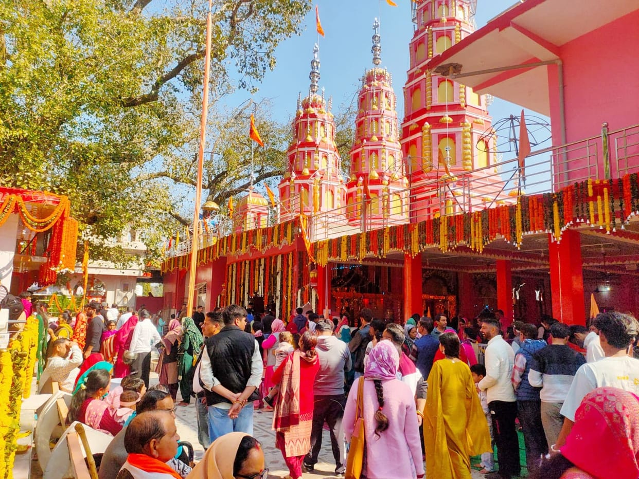 Devotees immersed in Shiva devotion, a flood of faith in Shiva temples