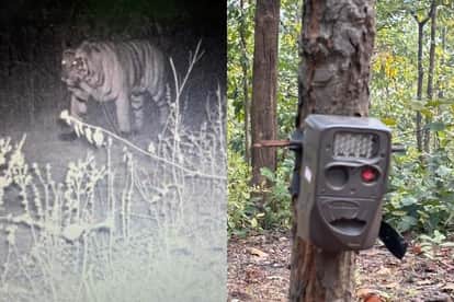 Umaria News: Trap Camera Installed for Tiger Census Stolen from Forest, Forest Department on Alert