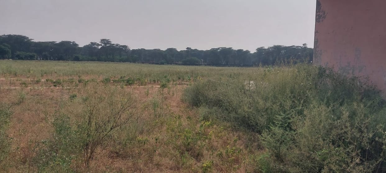 The condition of dilapidated sports complexes will improve, estimates are being prepared.