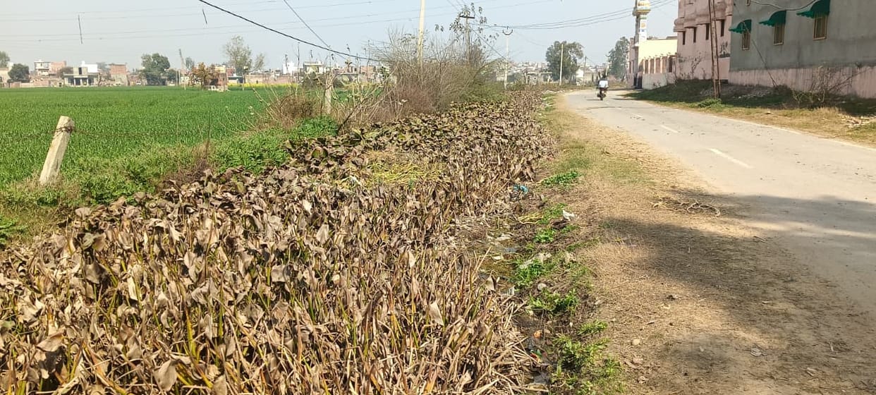 Drains filled with dirt due to lack of cleanliness