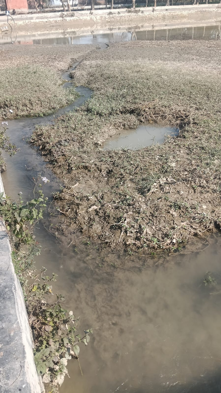 Silt deposited in the water tank of Sunaria village, supply also affected