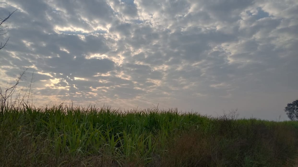 Jammu and Kashmir Weather Some relief from clouds during day temperature still 10 degrees above