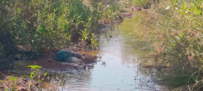 Unidentified youth's body found in drain, police engaged in investigation