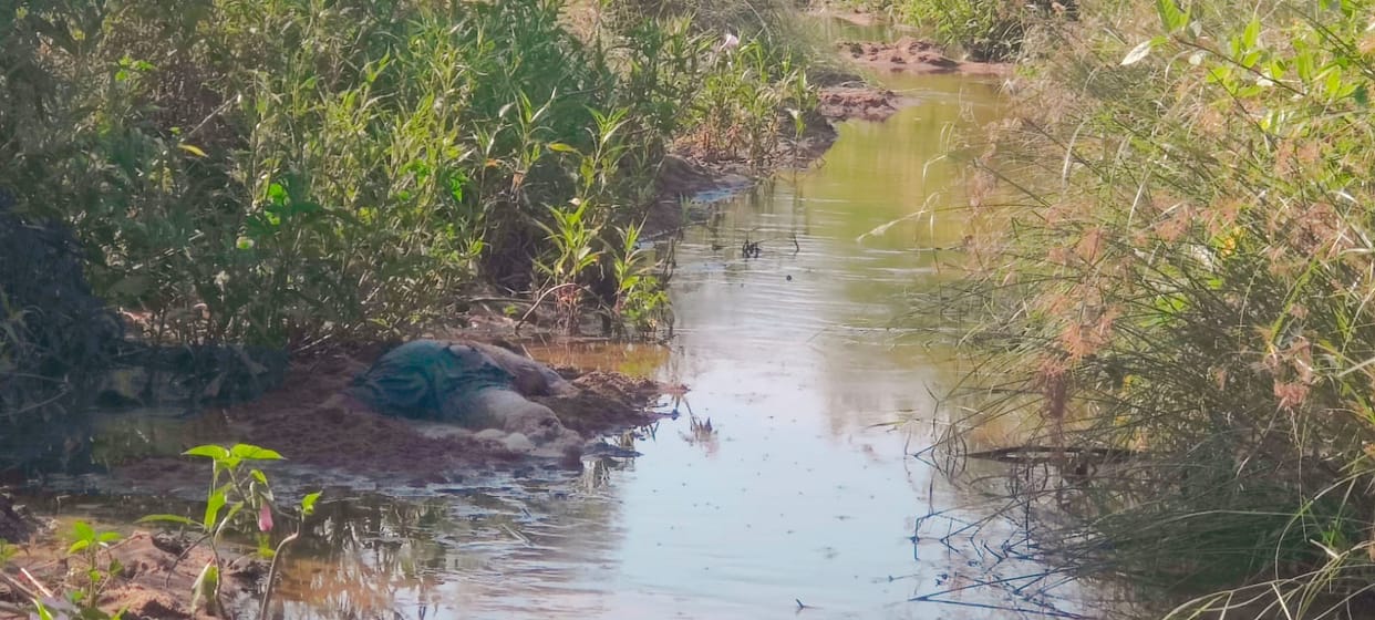 Unidentified youth's body found in drain, police engaged in investigation