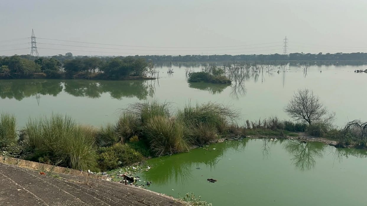 The PCB team collected water samples from Sahibi Barrage and identified areas.