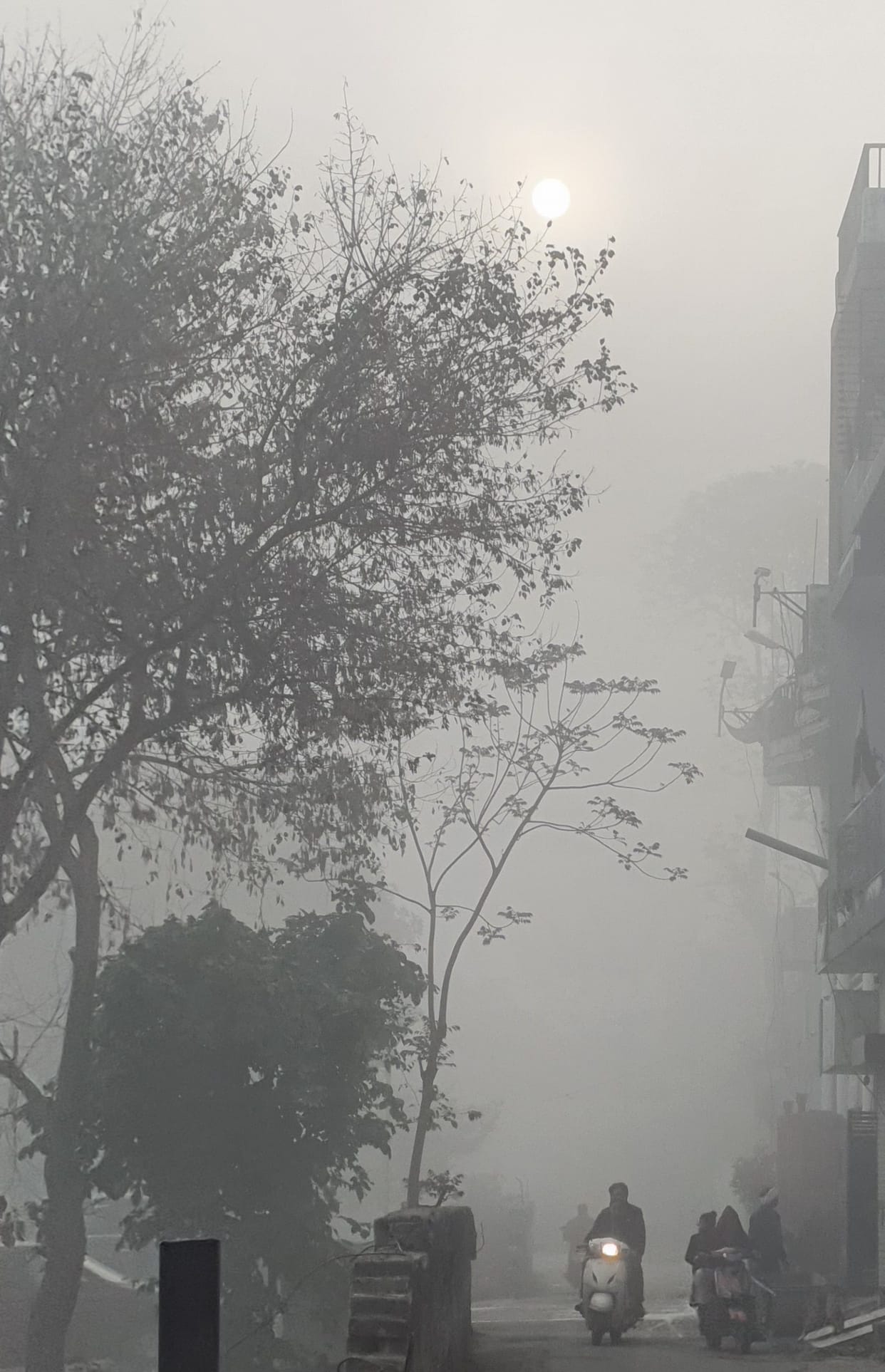 Dense fog in the morning, bright sunshine in the afternoon