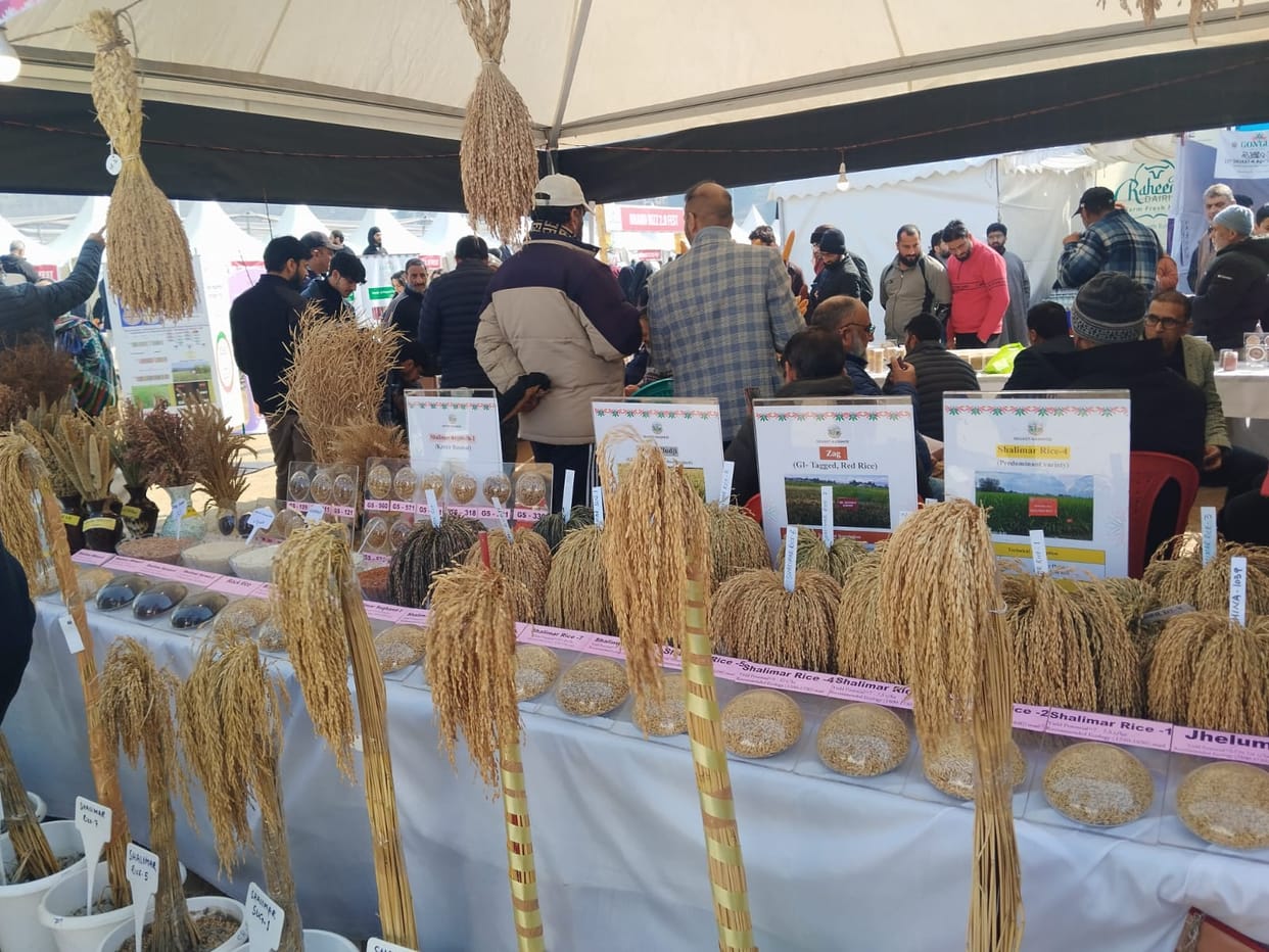 Srinagar, SKAUST Kashmir, Gongul Agritec Fair