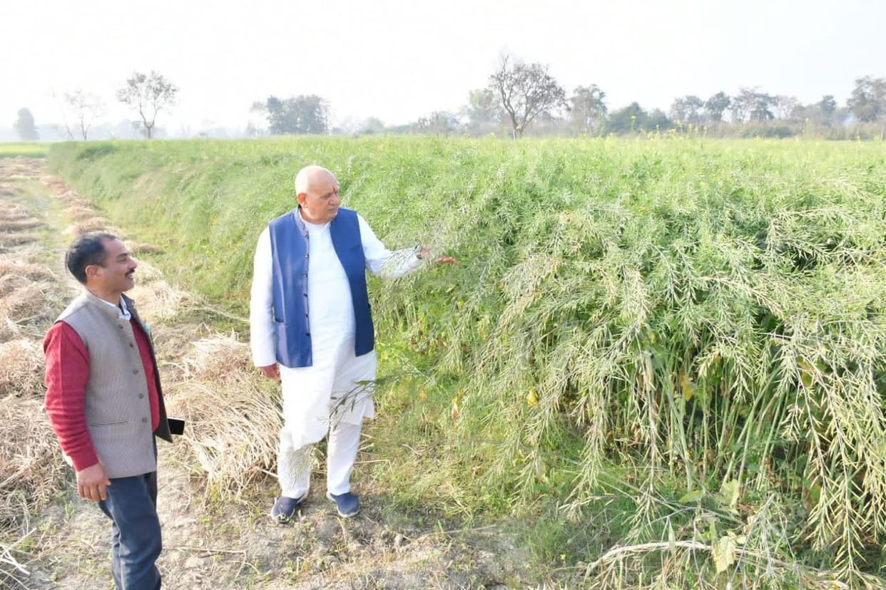 The Agriculture Minister stopped to see the mustard crop and got his photo taken.