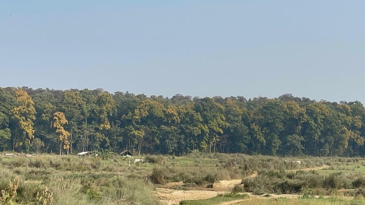 Sohelwa Wildlife Sanctuary takes a step forward on the path to becoming a tiger reserve